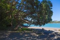 Tutukaka;Northland;sandy_beaches;bachs;holiday_homes;bush;native_forrest;golden_
